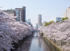 目黒区マンション特集