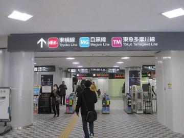 多摩川駅／徒歩12分・約960m(2023年11月)