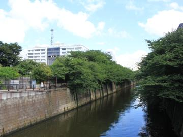 目黒川／徒歩1分・約80m(2019年7月)