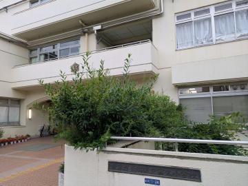 新宿区立富久小学校／徒歩4分・約260m