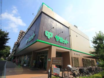 サミットストア野沢龍雲寺店／徒歩8分・約600m