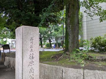 品川区立荏原南公園／徒歩7分・約500m