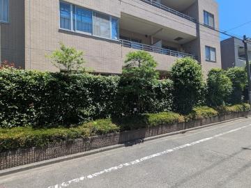 外観／1階住戸でありながら、植栽によってプライバシーが確保されているため、安心して暮らせます。