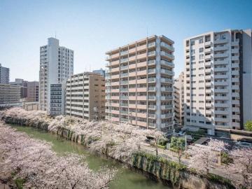 その他画像／眺望
